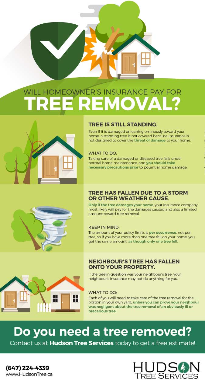 Will homeowner's insurance pay for tree removal?