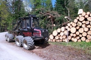 Firewood Delivery in North York, Ontario