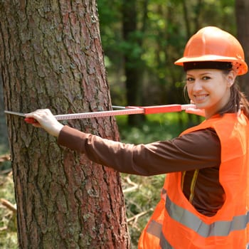 Hire an Arborist in Markham, Ontario