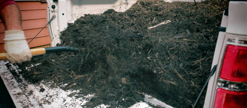 Mulch Delivery in Mississauga, Ontario