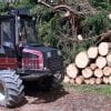 Firewood Delivery in Mississauga, Ontario