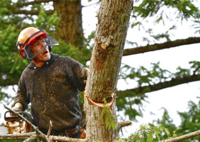 Man doing tree removal