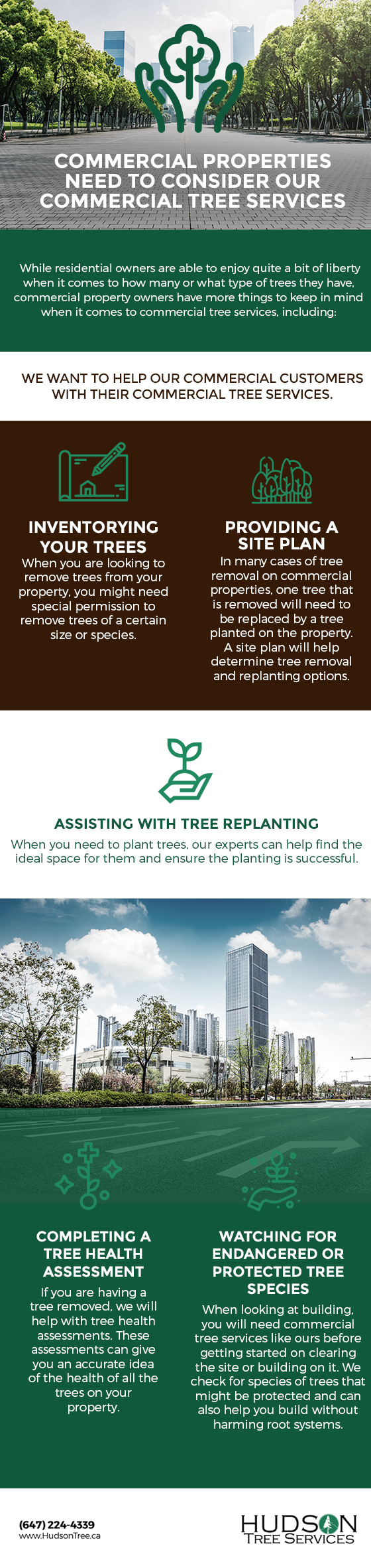 Commercial Properties Need to Consider Our Commercial Tree Services [infographic]