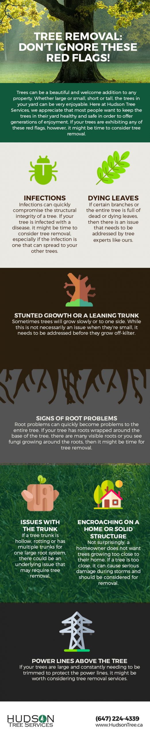 Tree Removal: Don’t Ignore These Red Flags! [infographic]